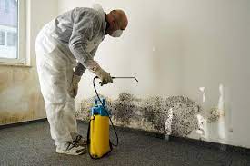 Mould removal and painting in melbourne